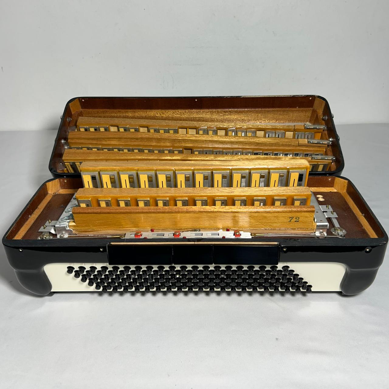 Acordeon Castiglione - Terça Oitavada - 9/3 Registros - 10.3 kg - 48 cm - Imagem 11