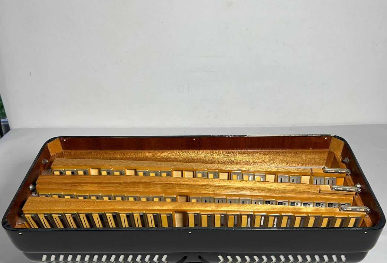 Acordeon Castiglione - Terça Oitavada - 9/3 Registros - 10.3 kg - 48 cm - Imagem 6