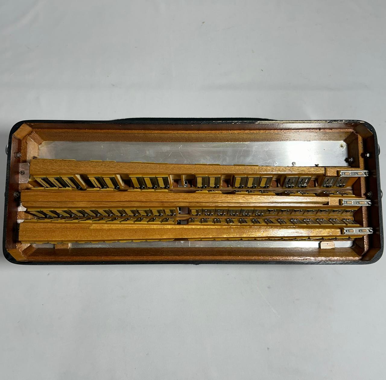 Acordeon Castiglione - Terça Oitavada - 9/3 Registros - 10.3 kg - 48 cm - Imagem 7