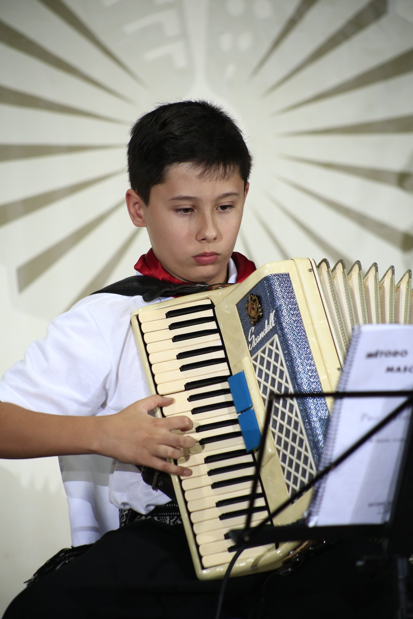 Aulas de acordeon